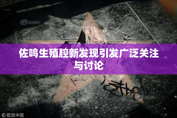 佐鸣生殖腔新发现引发广泛关注与讨论