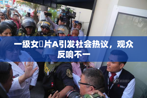 一级女婬片A引发社会热议，观众反响不一