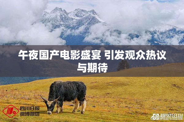 午夜国产电影盛宴 引发观众热议与期待