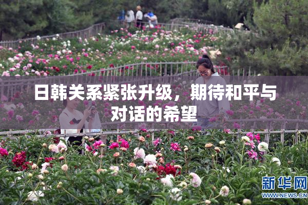 日韩关系紧张升级，期待和平与对话的希望