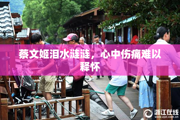 蔡文姬泪水涟涟，心中伤痛难以释怀