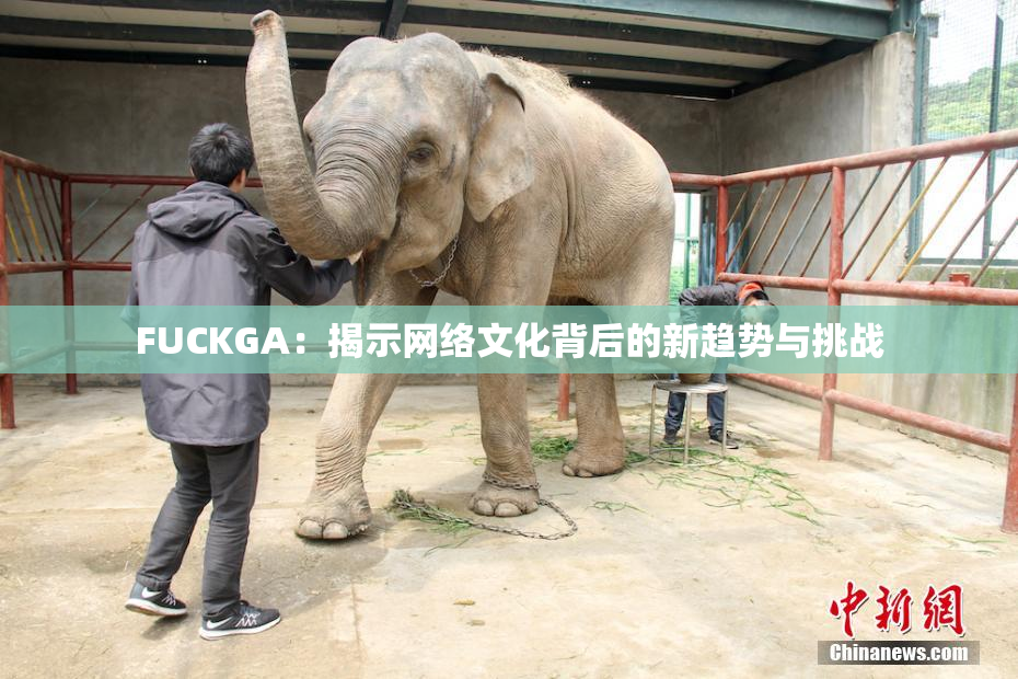 FUCKGA：揭示网络文化背后的新趋势与挑战