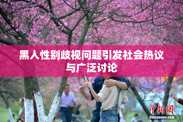 黑人性别歧视问题引发社会热议与广泛讨论