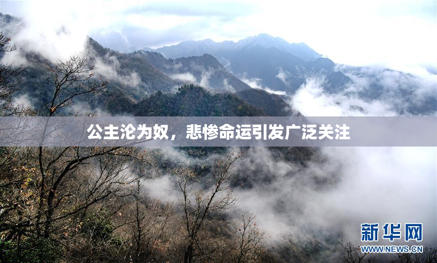 公主沦为奴，悲惨命运引发广泛关注
