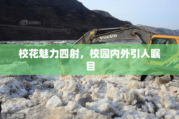 校花魅力四射，校园内外引人瞩目