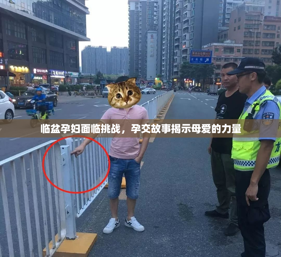 临盆孕妇面临挑战，孕交故事揭示母爱的力量