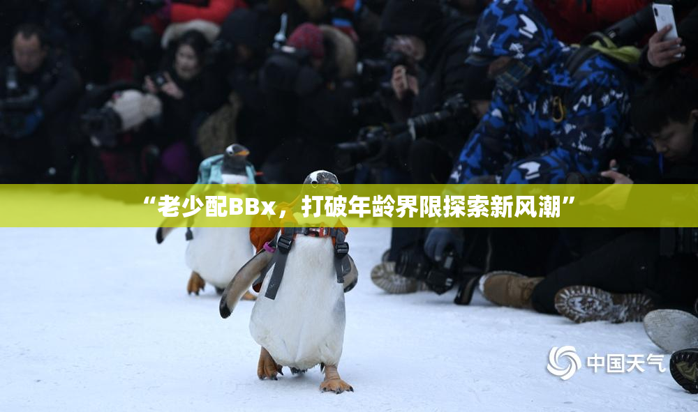 “老少配BBx，打破年龄界限探索新风潮”