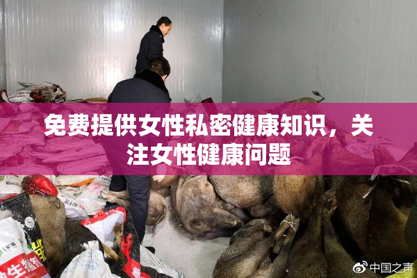 免费提供女性私密健康知识，关注女性健康问题