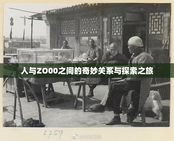 人与ZO00之间的奇妙关系与探索之旅