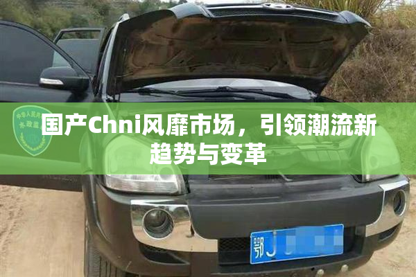 国产Chni风靡市场，引领潮流新趋势与变革