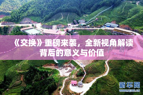《交换》重磅来袭，全新视角解读背后的意义与价值