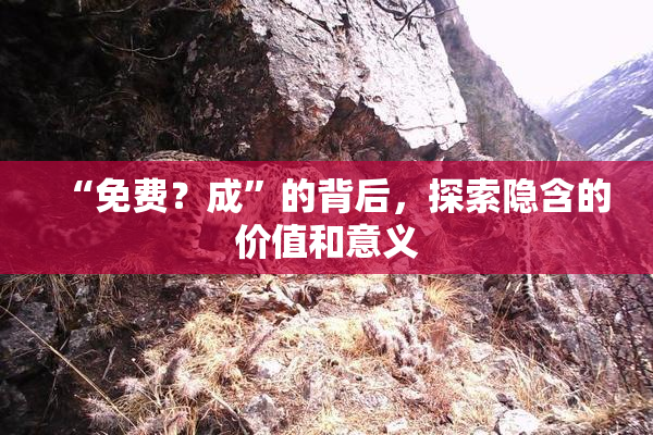 “免费？成”的背后，探索隐含的价值和意义