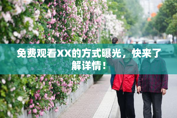 免费观看XX的方式曝光，快来了解详情！