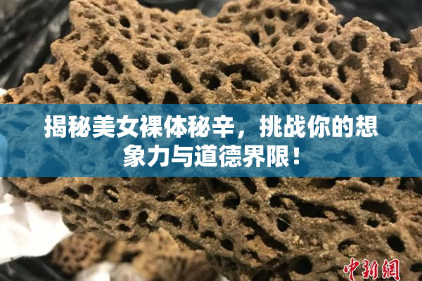 揭秘美女裸体秘辛，挑战你的想象力与道德界限！
