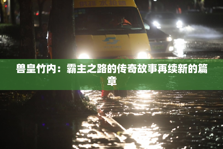 兽皇竹内：霸主之路的传奇故事再续新的篇章