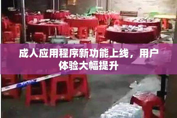 成人应用程序新功能上线，用户体验大幅提升