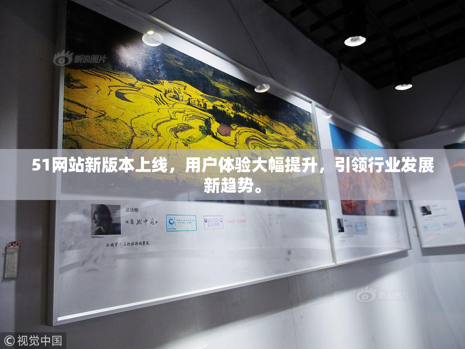 51网站新版本上线，用户体验大幅提升，引领行业发展新趋势。