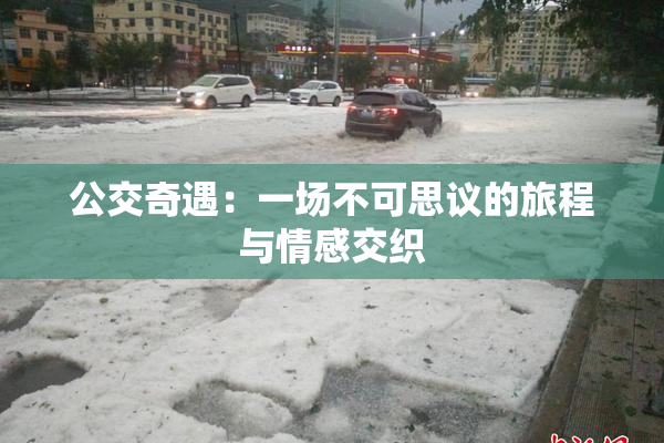 公交奇遇：一场不可思议的旅程与情感交织