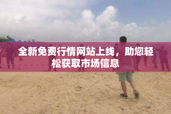 全新免费行情网站上线，助您轻松获取市场信息