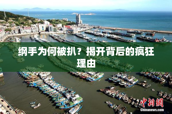 纲手为何被扒？揭开背后的疯狂理由