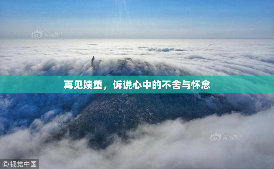 再见姨重，诉说心中的不舍与怀念