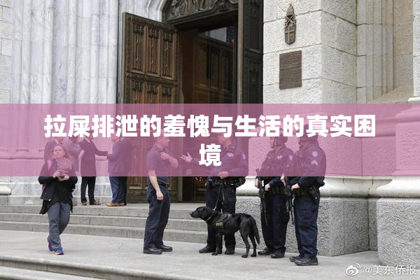 拉屎排泄的羞愧与生活的真实困境