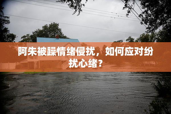 阿朱被躁情绪侵扰，如何应对纷扰心绪？