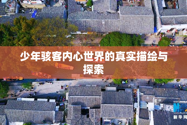 少年骇客内心世界的真实描绘与探索