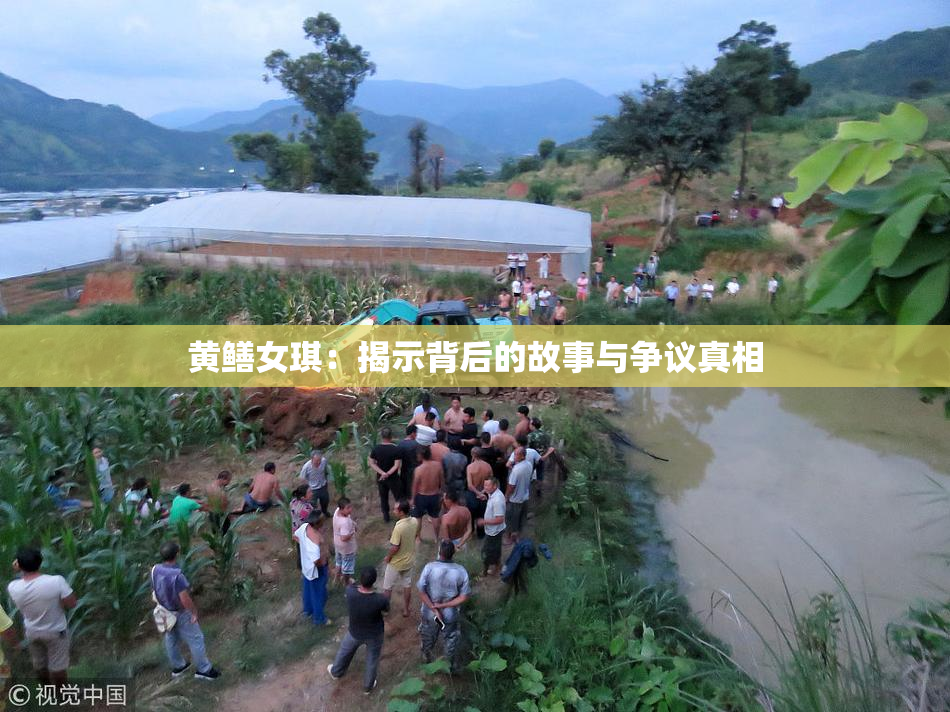 黄鳝女琪：揭示背后的故事与争议真相