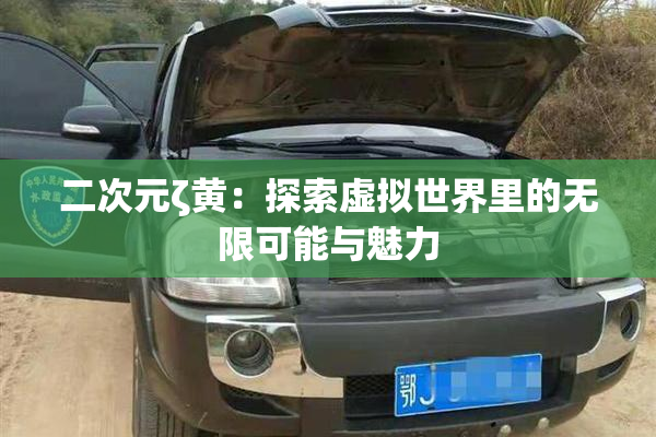 二次元ζ黄：探索虚拟世界里的无限可能与魅力