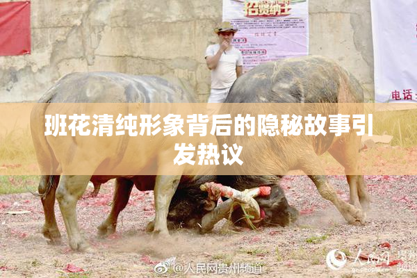 班花清纯形象背后的隐秘故事引发热议