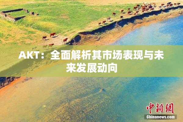 AKT：全面解析其市场表现与未来发展动向