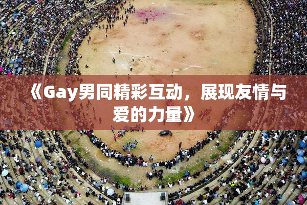 《Gay男同精彩互动，展现友情与爱的力量》