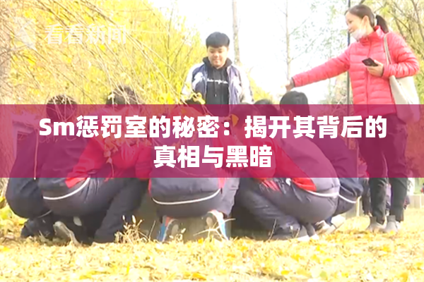 Sm惩罚室的秘密：揭开其背后的真相与黑暗