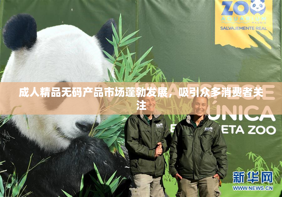成人精品无码产品市场蓬勃发展，吸引众多消费者关注