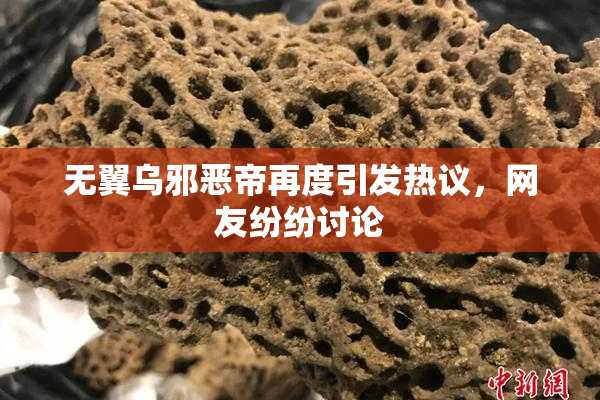 无翼乌邪恶帝再度引发热议，网友纷纷讨论