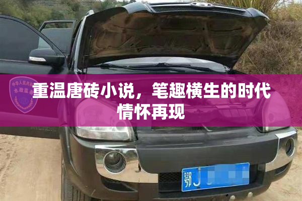 重温唐砖小说，笔趣横生的时代情怀再现