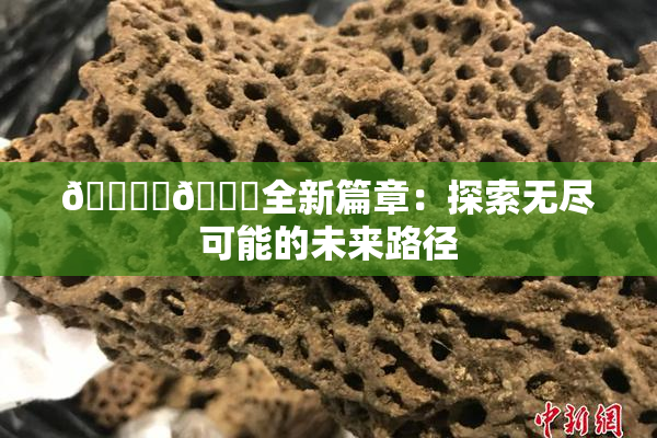 🔞‌🍌全新篇章：探索无尽可能的未来路径
