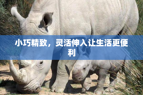 小巧精致，灵活伸入让生活更便利