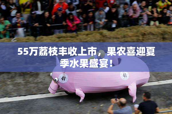 55万荔枝丰收上市，果农喜迎夏季水果盛宴！
