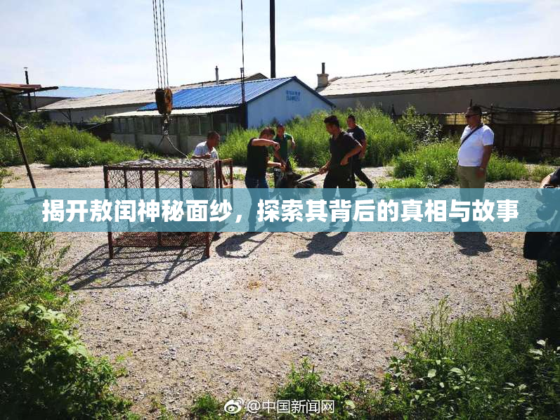 揭开敖闰神秘面纱，探索其背后的真相与故事