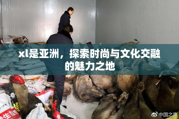 xl是亚洲，探索时尚与文化交融的魅力之地