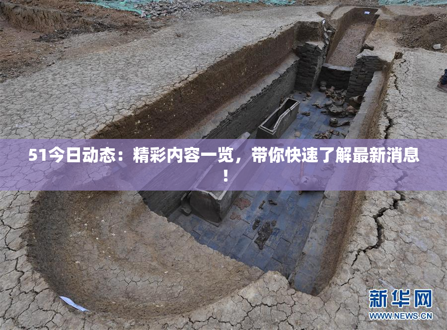 51今日动态：精彩内容一览，带你快速了解最新消息！