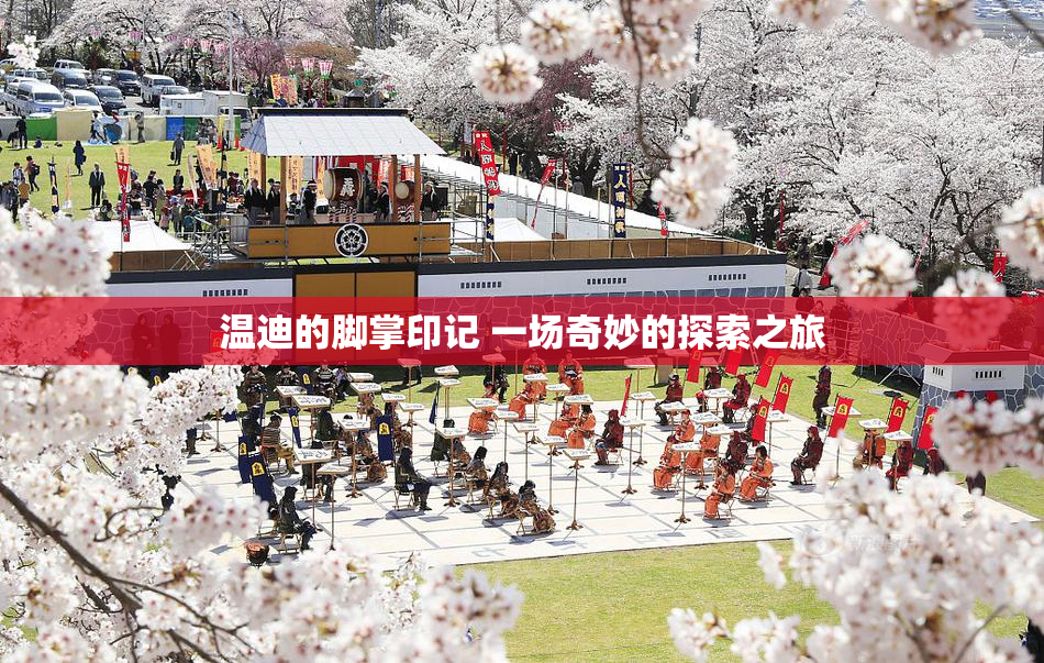 温迪的脚掌印记 一场奇妙的探索之旅