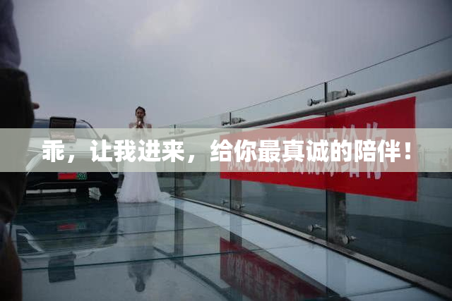 乖，让我进来，给你最真诚的陪伴！
