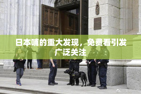 日本哺的重大发现，免费看引发广泛关注