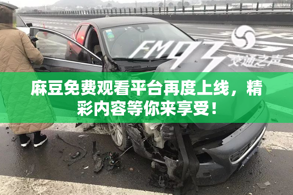麻豆免费观看平台再度上线，精彩内容等你来享受！