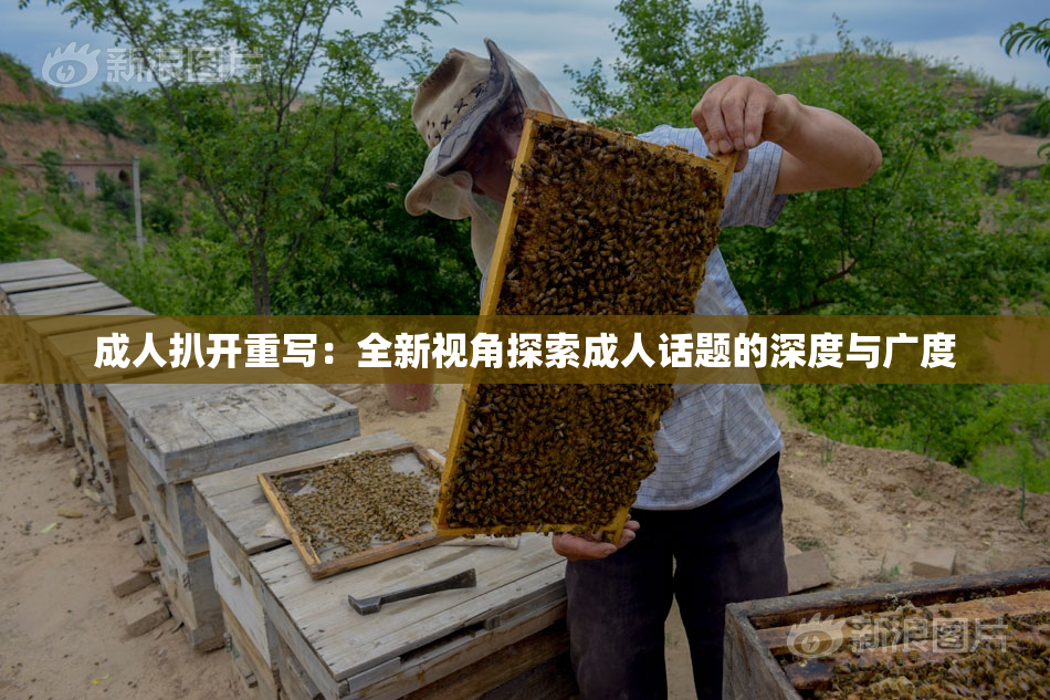成人扒开重写：全新视角探索成人话题的深度与广度