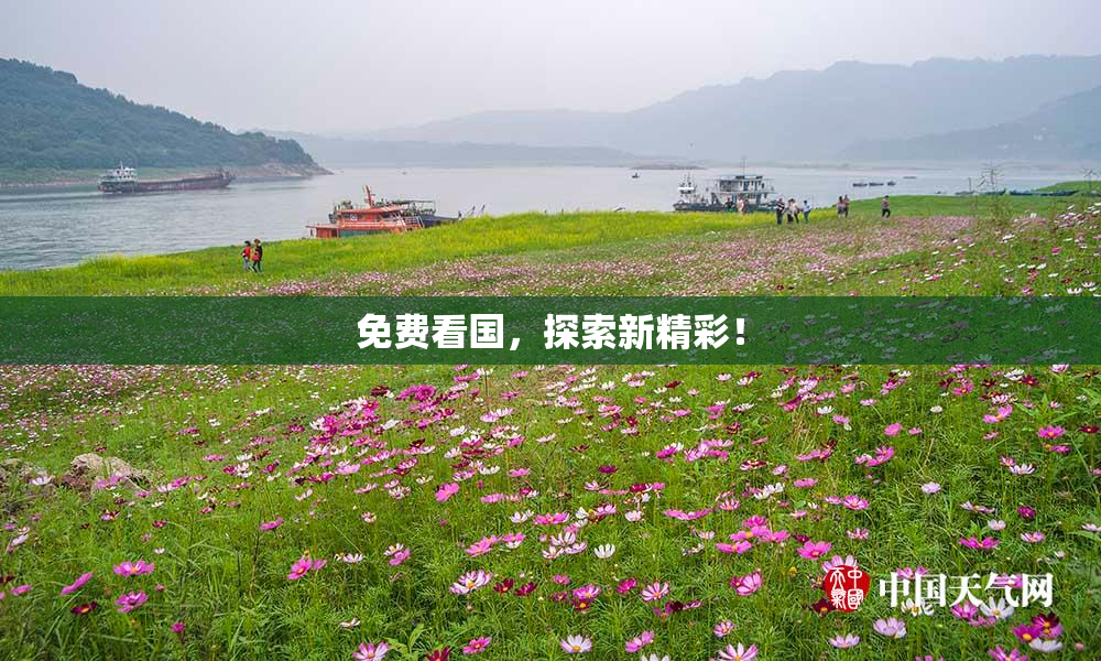免费看国，探索新精彩！