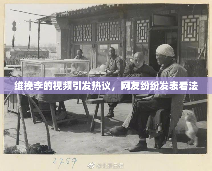 维挽李的视频引发热议，网友纷纷发表看法
